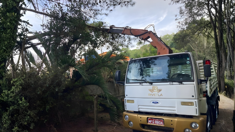 Entenda como os guindastes atuam na obra, seus materiais essenciais e funções estratégicas, segundo Altevir Seidel.